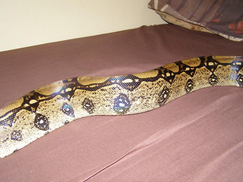 help boa id