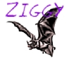 Bat Avatar