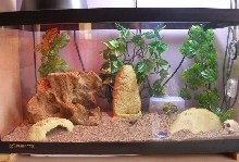 Present Setup 1