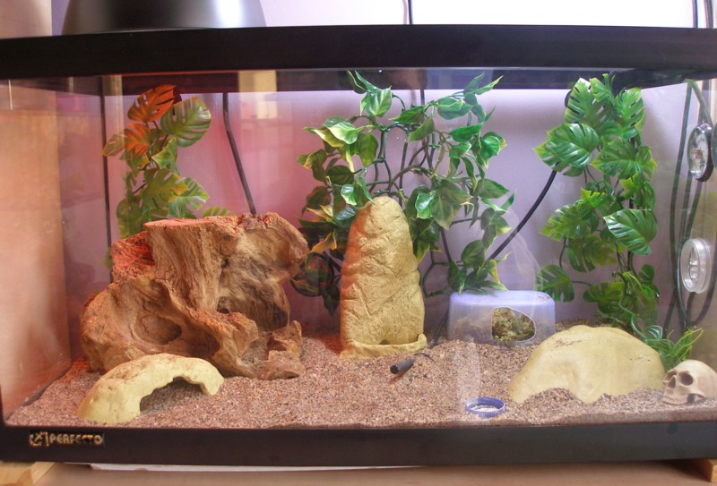 Present Setup 1