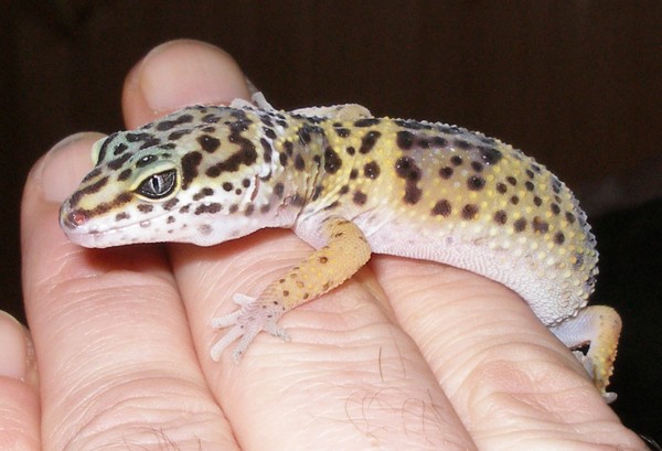 My new friend 1