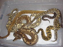 group shot