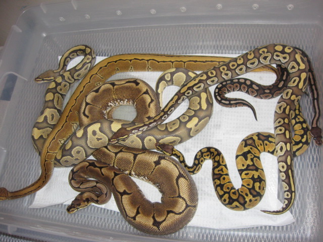 group shot