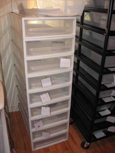 10 high container store set up