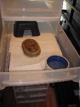 Pin Container store set up