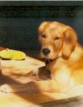 Lucas from Tampa