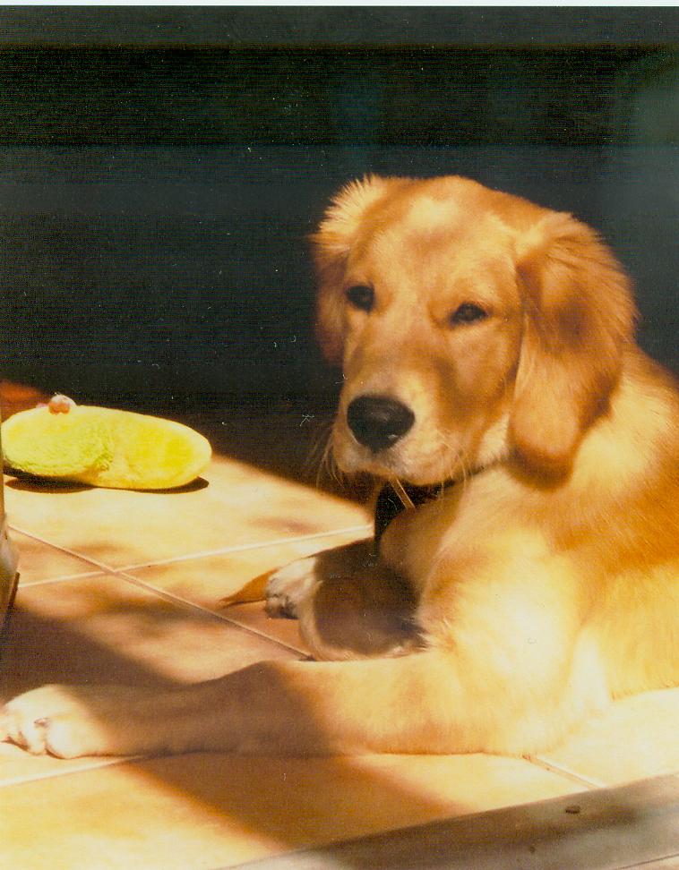 Lucas from Tampa
