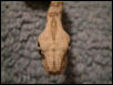 closeup2