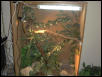 New and improved cage