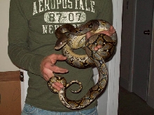 male about 5.5 ft