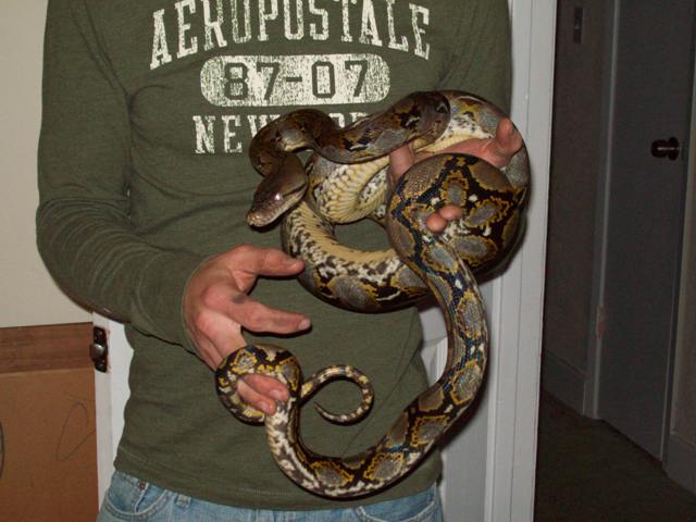 male about 5.5 ft
