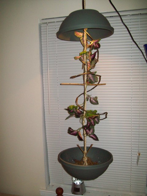 built it myself