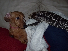 cuddle time