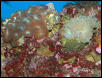 Saltwater Photos