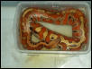 red blood female