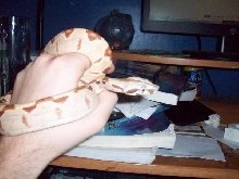 HYPO