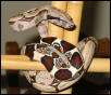 Female Suriname