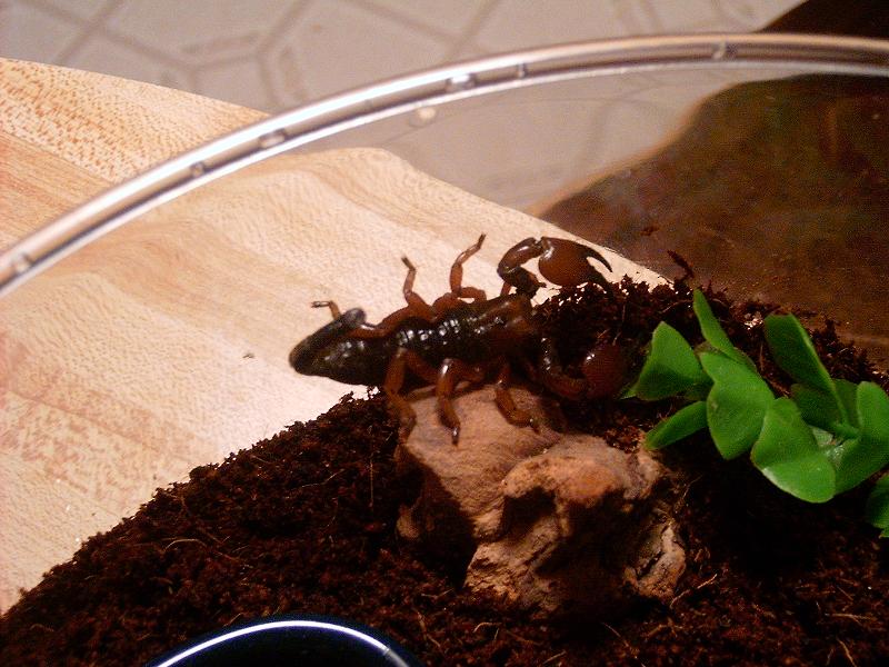 Help ID Please