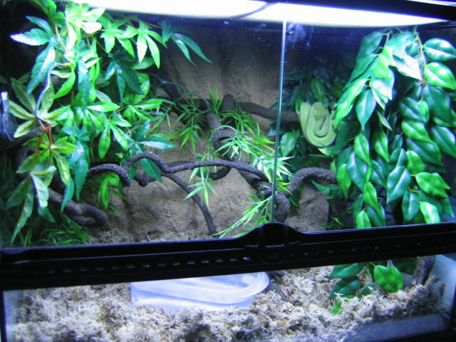 theo's cage