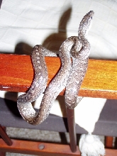 Epicrates s. fowleri female2