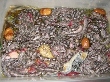 aztec soup