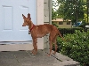 Justice's first day home.
