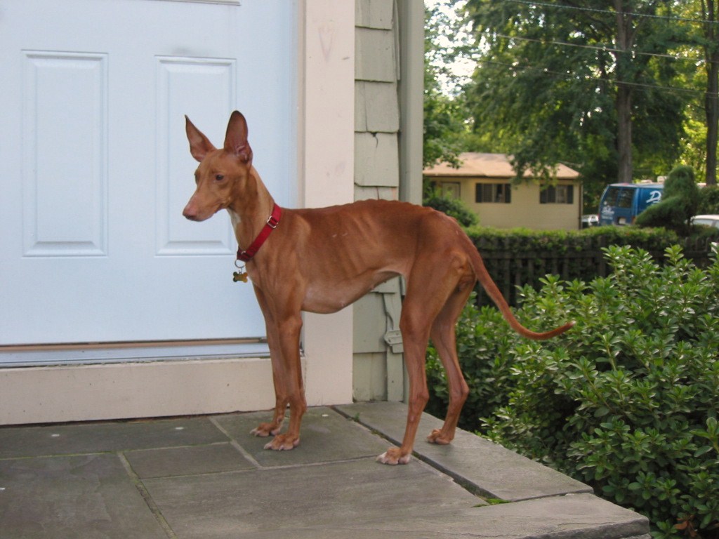 Justice's first day home.