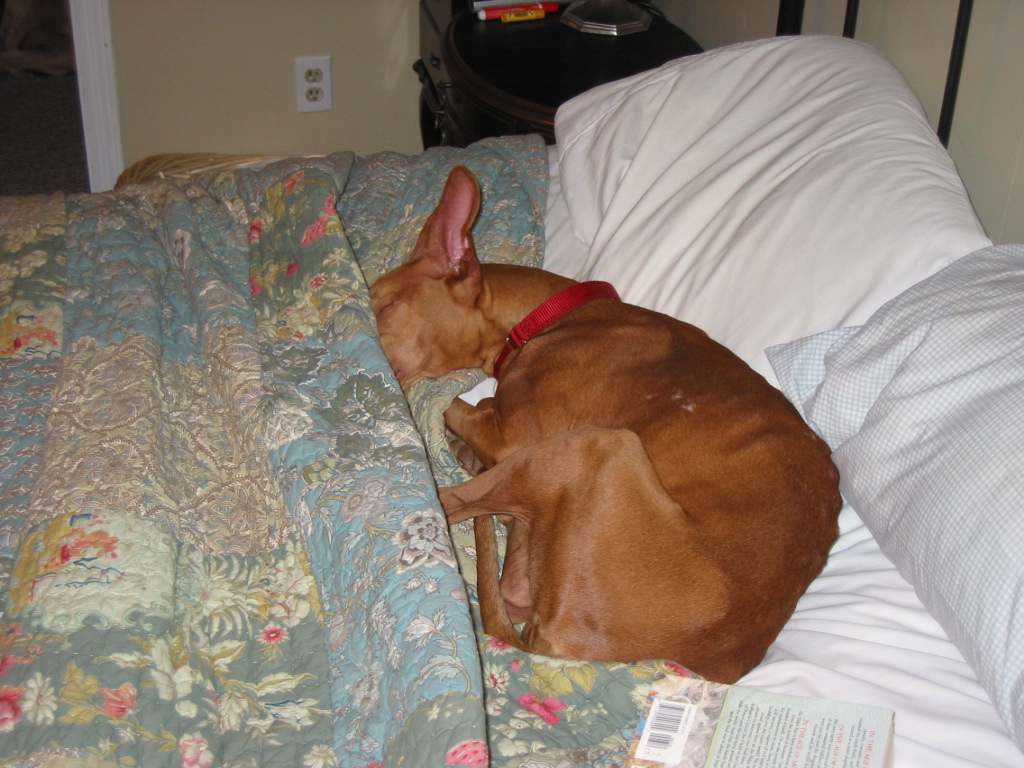 Justice  - Crawling into bed.