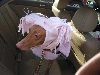 Justices new hat.