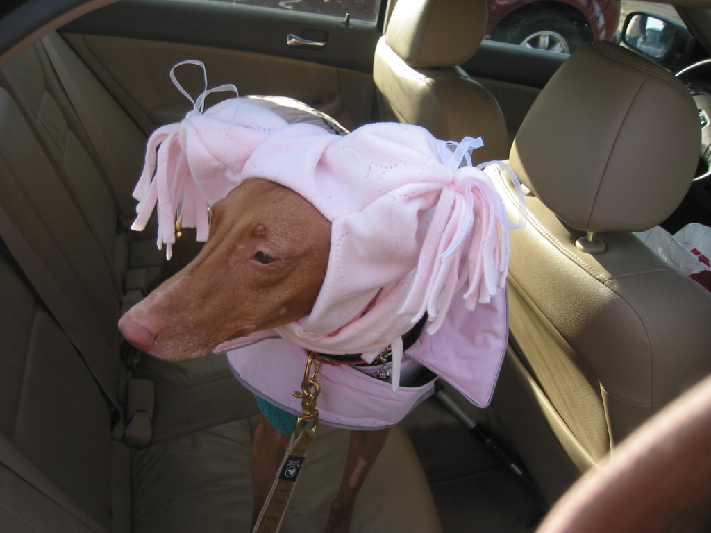 Justices new hat.