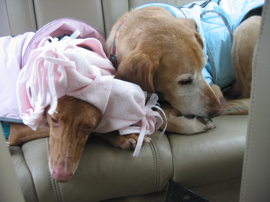 Sleepy kids