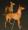 Justice and her sister Cleo