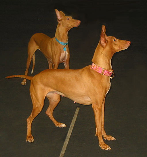 Justice and her sister Cleo