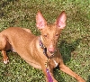 Justice at her first racing event.