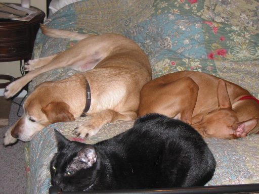 Justice - We're all sleepy....