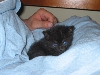 Squeak with dad.