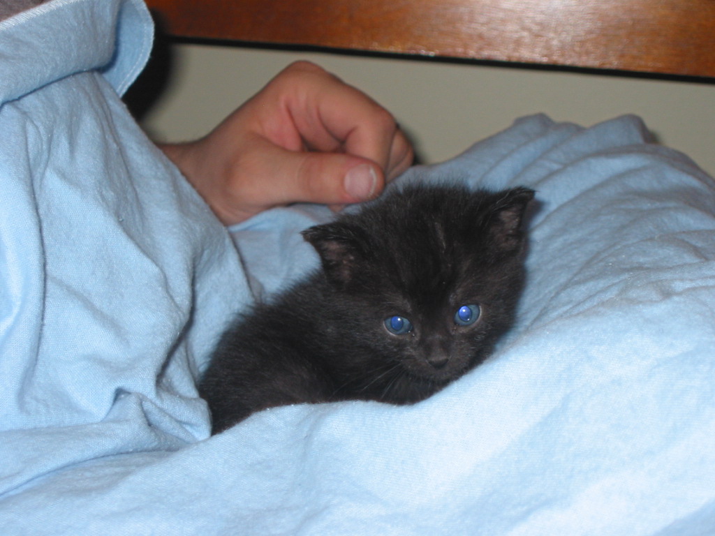 Squeak with dad.