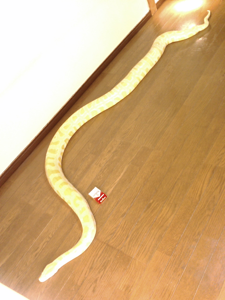 long!