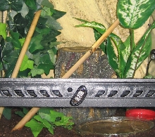 Terrarium