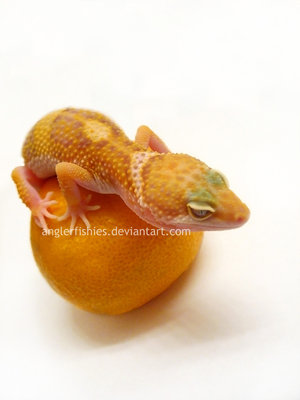 Arancione