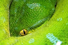 I see you!!