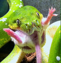 Lunch Time!!