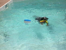 Rafferty Swimming