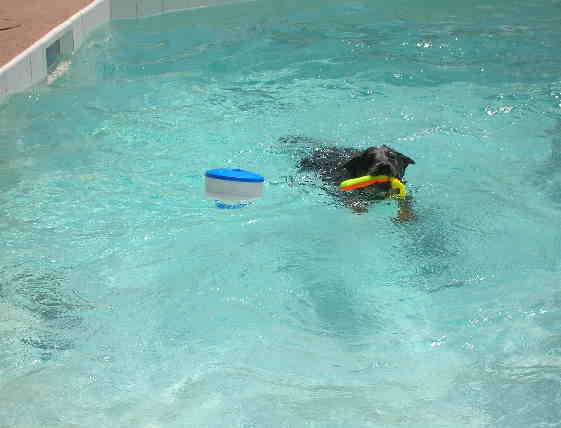 Rafferty Swimming