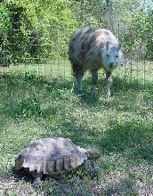 Nigel and Ivan