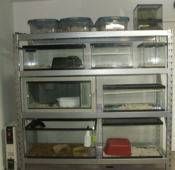 Rep Rack