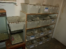 Rat Maternity Ward