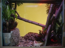 enclosure1