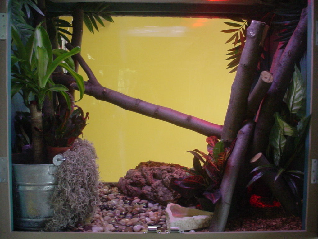 enclosure1
