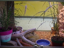 enclosure3